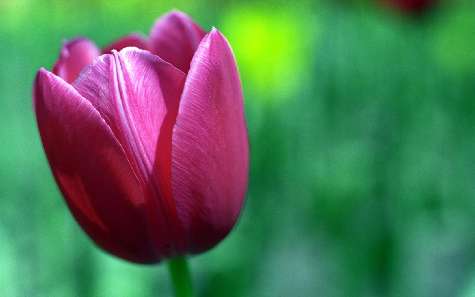 nauka jazdy rajek Piła