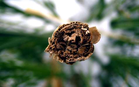 Piła szkoła jazdy kat be