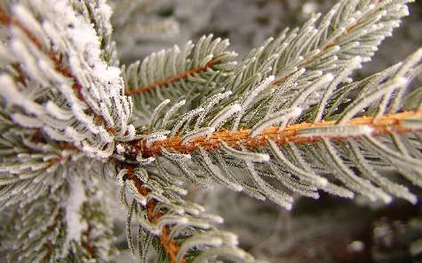nauka jazdy Piła kategoria B