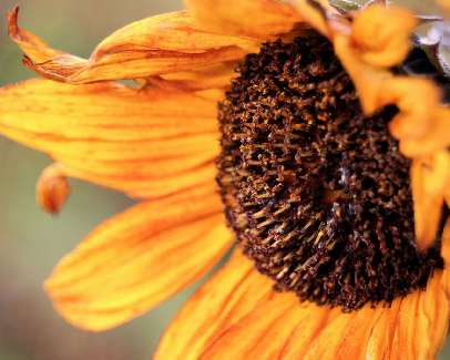 prawo jazdy kategoria B w Pile