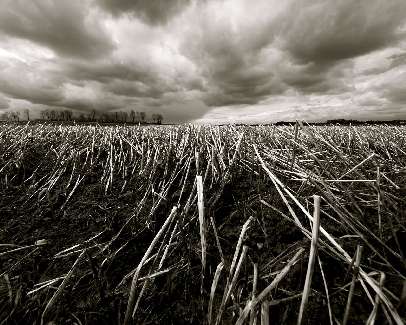 nauka jazdy Piła kategoria B