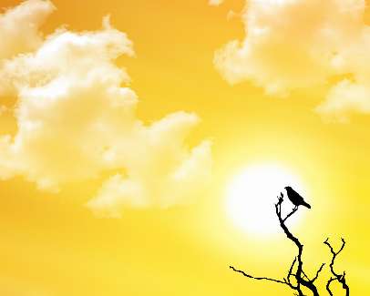 Piła kurs prawa jazdy