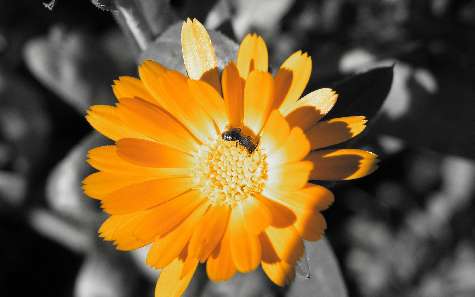 Piła kurs nauki jazdy