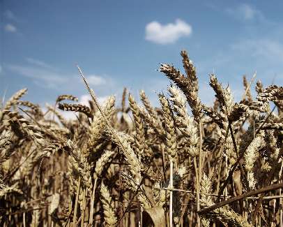 Pila kat. B nauka jazdy