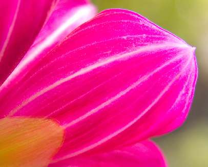 szkoła jazdy kategoria a2 Piła