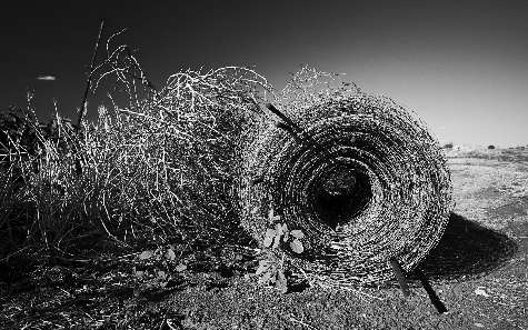 szkola nauki jazdy Pila