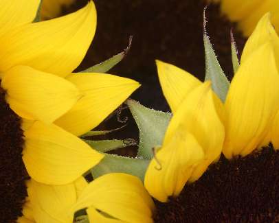 prawo jazdy kategoria a w Pile