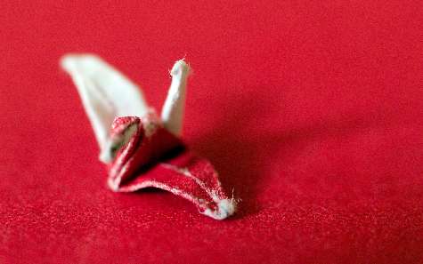 szkoła jazdy w Pile