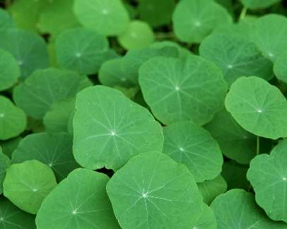 szkoła jazdy b Piła