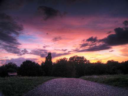 Piła prawo jazdy Najpopularniejsze Piła prawo jazdy ezoteryczkom