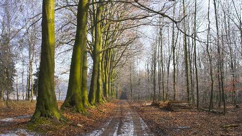 mechanika samchodowa Ujście