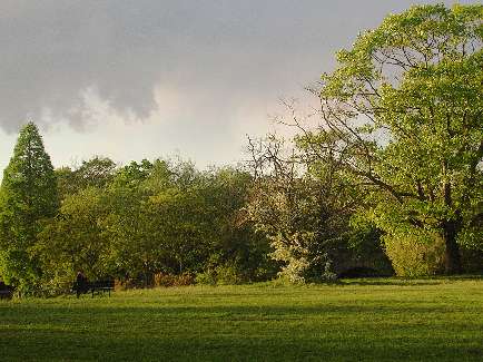 szkoła jazdy w Pile