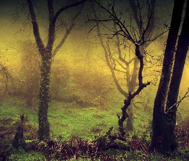 kategoria B prawo jazdy Piła