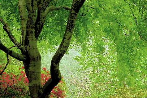 szkola nauki jazdy Pila