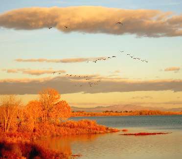 mechanik samochodowy Kaczory