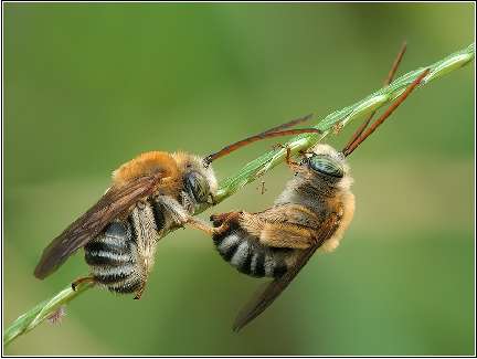 tania nauka jazdy Piła