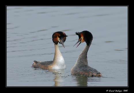 Pila kategoria B prawo jazdy