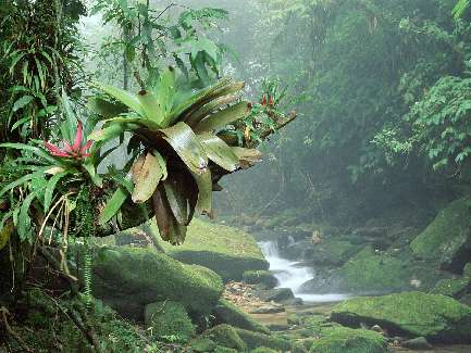 warsztaty samochodowe Wyrzysk