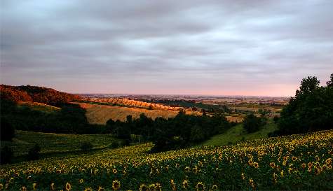 kurs prawa jazdy Piła