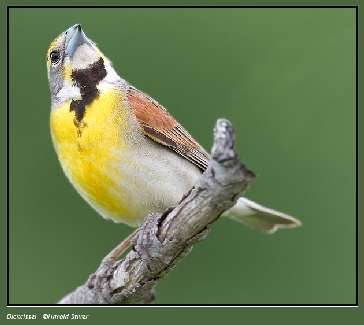 prawo jazdy kategoria B Pila prawo jazdy kategoria B Pila