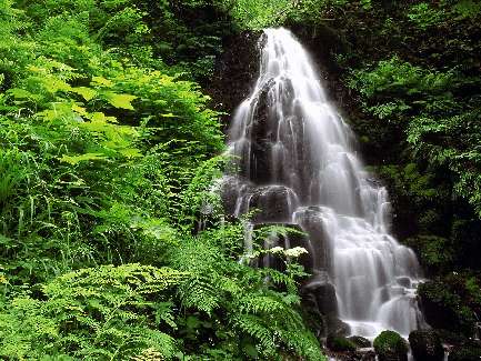szkoła nauki jazdy Piła kategoria A