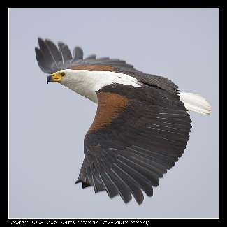 kursy nauki jazdy Piła