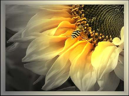 nauka jazdy kategoria B Pila