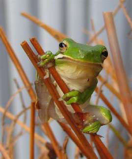 szkoła jazdy kat. B Piła