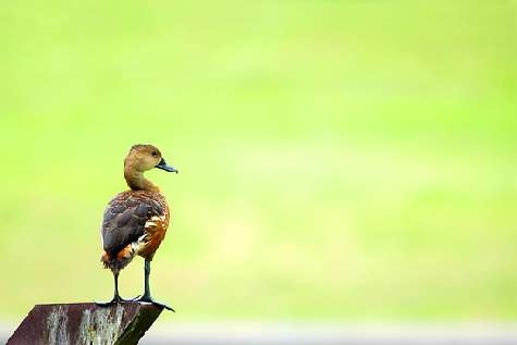 nauka jazdy rajek Piła