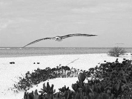 prawo jazdy kategoria B Piła