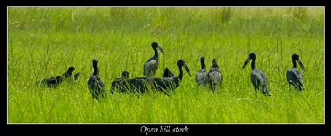 nauka jazdy kategoria c Piła