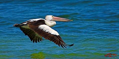 nauka jazdy kategoria a w Pile