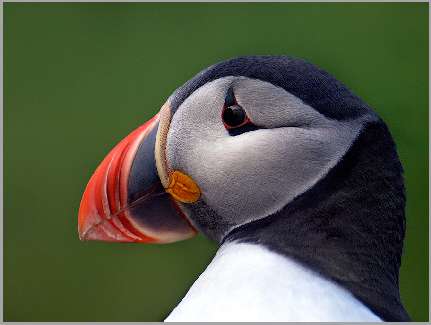 Pila kat B nauka jazdy