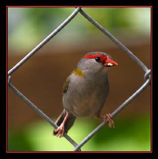 kursy nauki jazdy Piła