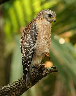 szkoła jazdy Rajek Piła