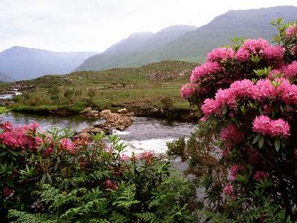 szkola jazdy kat B Pila