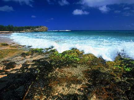 mechanicy samochodowi Trzcianka