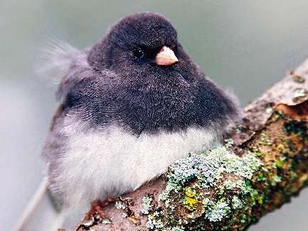 szkoła jazdy Piła kategoria A