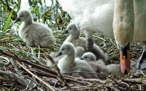 nauka jazdy kat B Piła