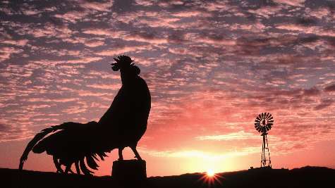 prawo jazdy kategoria be w Pile