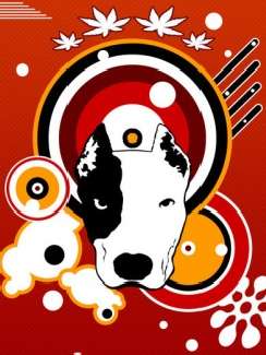 nauka jazdy Piła tanio