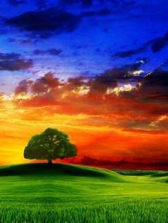 kursy prawa jazdy w Pile