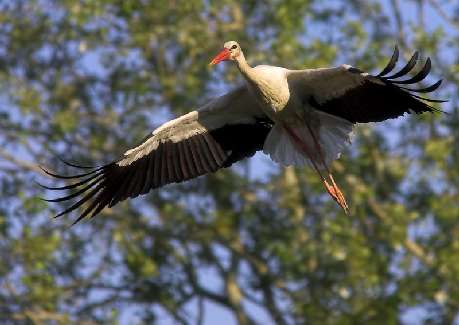 szkoła nauki jazdy Piła kat C