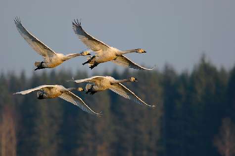 nauka jazdy rajek Piła