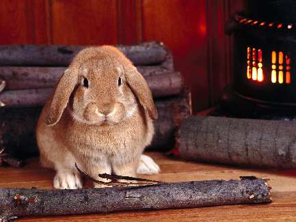 nauka jazdy kat am w Pile