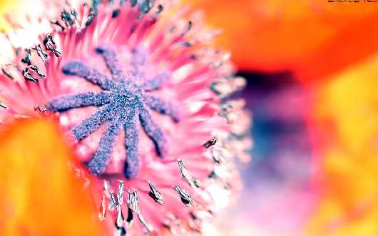 klimatyzacja samochodowa Wałcz