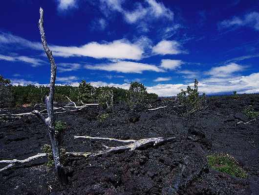prawo jazdy kat ce Piła