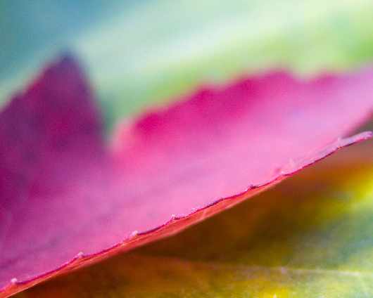 Pila kat B szkola jazdy