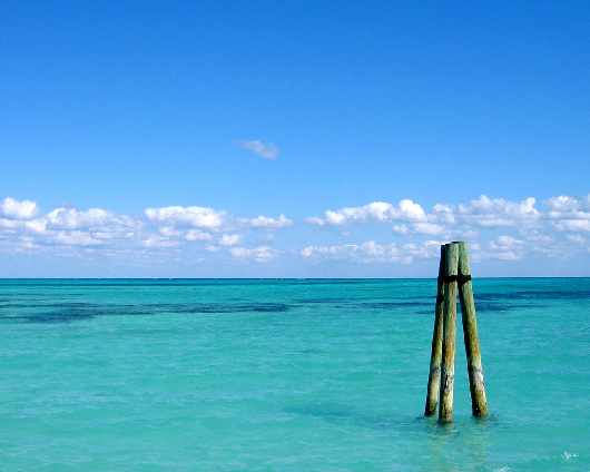 szkoła jazdy kat a w Pile