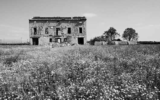 nauka jazdy kategoria ce w Pile